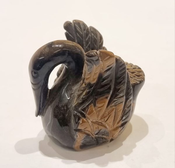 Cigno in occhio di tigre