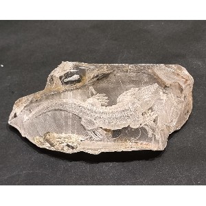 Cristallo di quarzo bianco