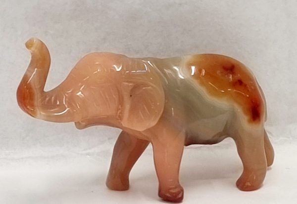 Elefante in agata corniola