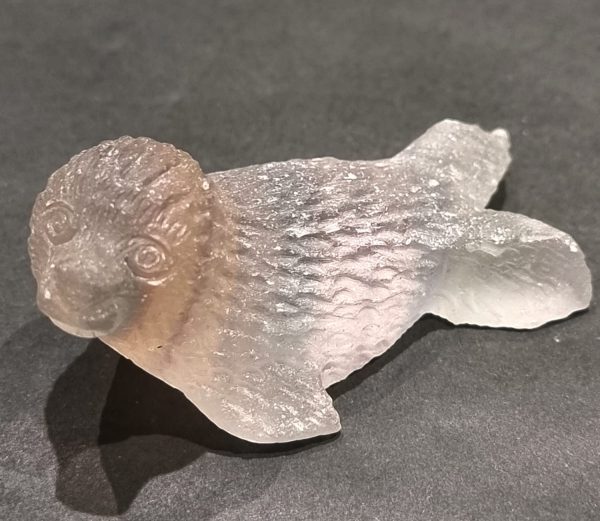 Foca in fluorite