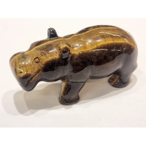 Ippopotamo in occhio di tigre