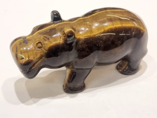 Ippopotamo in occhio di tigre