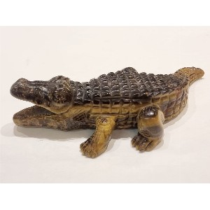Coccodrillo in occhio di tigre