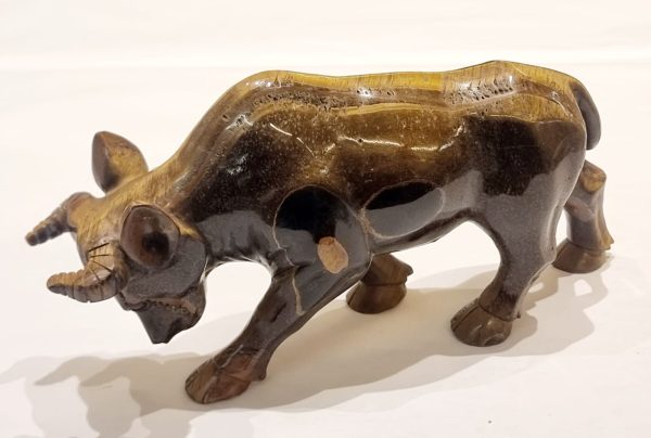 Toro in occhio di tigre